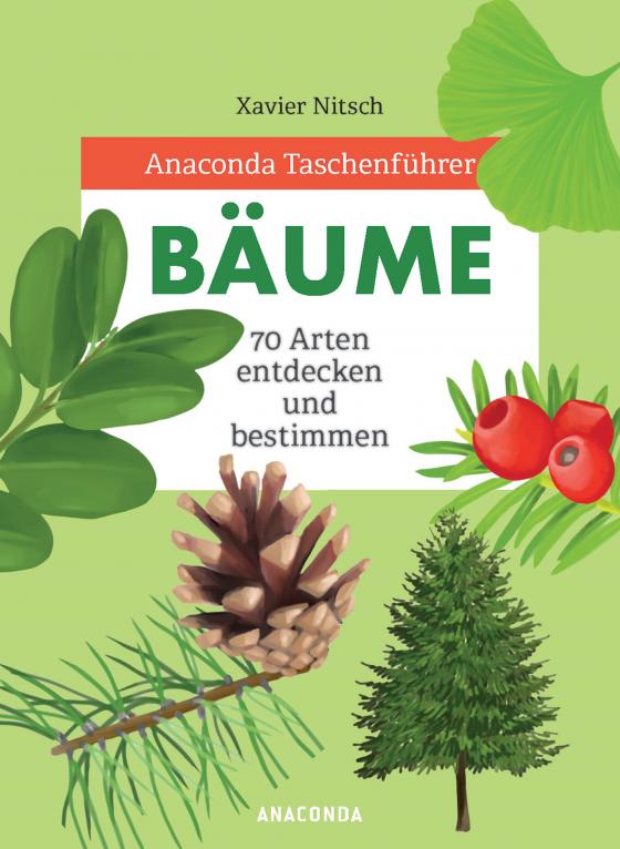 Cover-Bild Anaconda Taschenführer Bäume. 70 Arten entdecken und bestimmen -