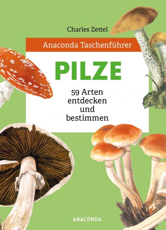 Cover-Bild Anaconda Taschenführer Pilze. 59 Arten entdecken und bestimmen