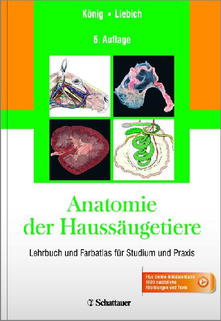 Cover-Bild Anatomie der Haussäugetiere