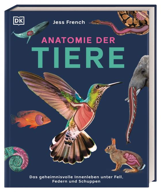 Cover-Bild Anatomie der Tiere