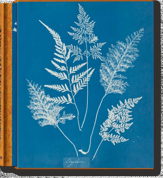 Cover-Bild Anna Atkins. Cyanotypes