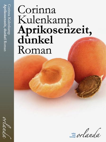 Cover-Bild Aprikosenzeit, dunkel