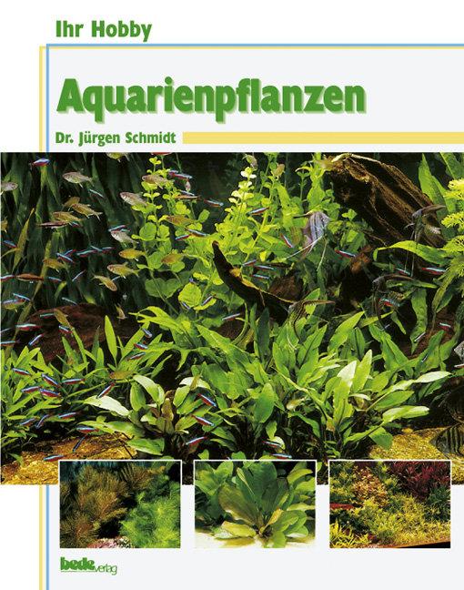 Cover-Bild Aquarienpflanzen