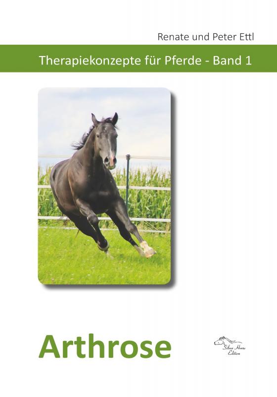 Cover-Bild Arthrose