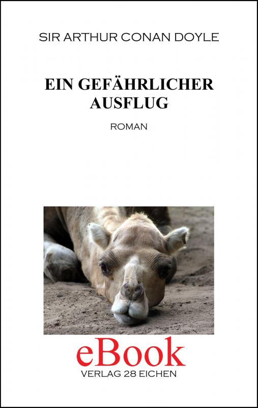 Cover-Bild Arthur Conan Doyle: Ausgewählte Werke / Ein gefährlicher Ausflug