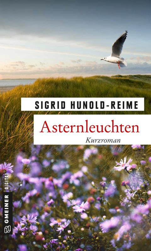 Cover-Bild Asternleuchten