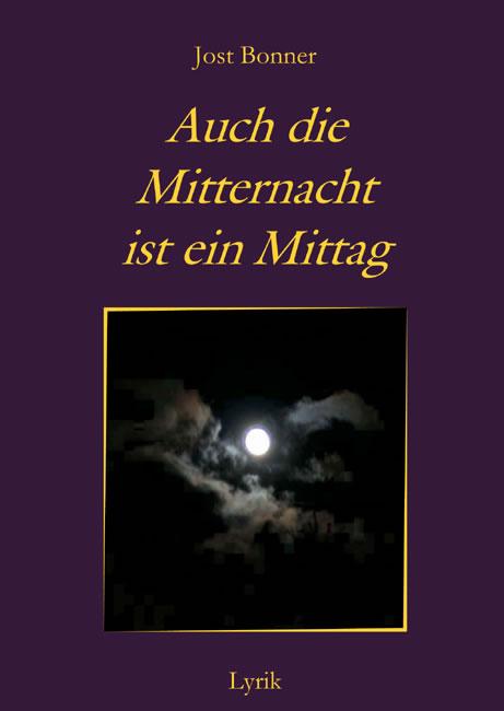 Cover-Bild Auch die Mitternacht ist ein Mittag