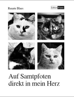 Cover-Bild Auf Samtpfoten direkt in mein Herz