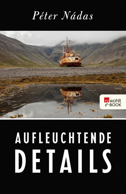 Cover-Bild Aufleuchtende Details