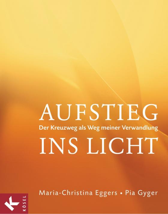 Cover-Bild Aufstieg ins Licht