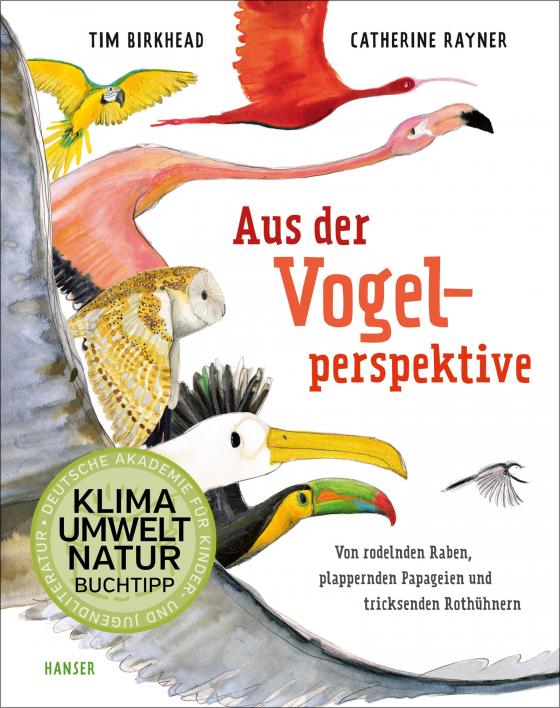 Cover-Bild Aus der Vogelperspektive