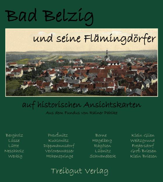 Cover-Bild Bad Belzig und seine Flämingdörfer