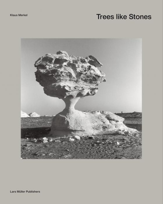 Cover-Bild Bäume wie Steine