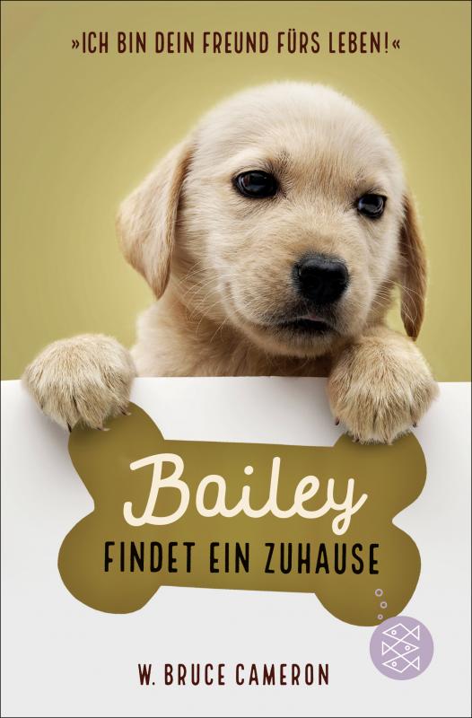 Cover-Bild Bailey findet ein Zuhause