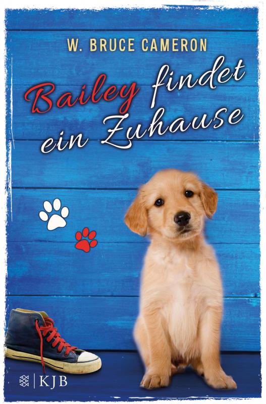 Cover-Bild Bailey findet ein Zuhause