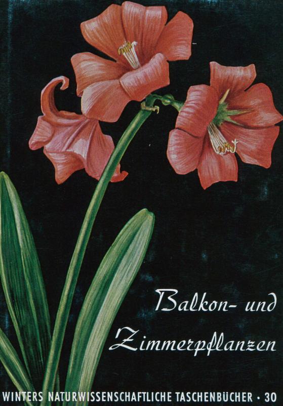 Cover-Bild Balkon- und Zimmerpflanzen