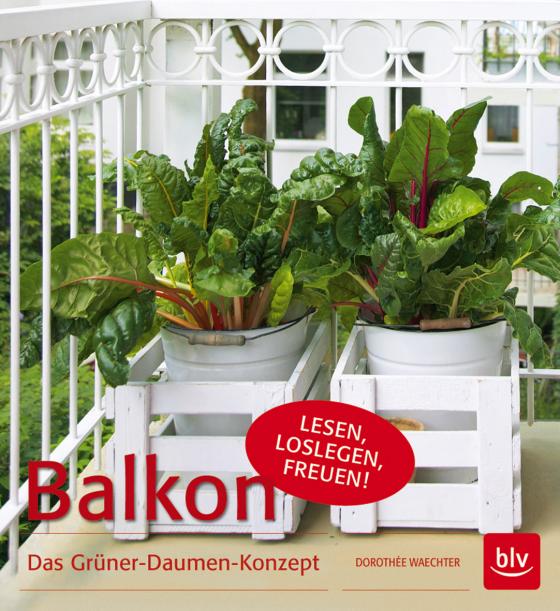 Cover-Bild Balkon