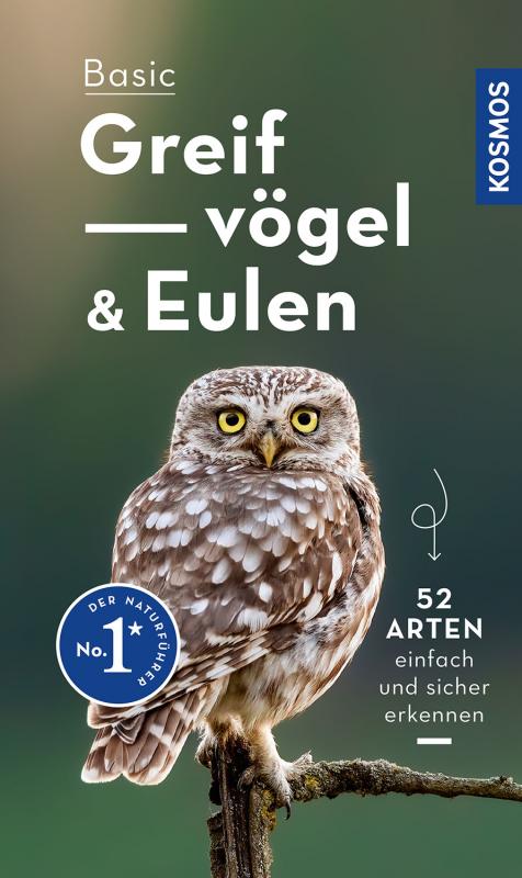 Cover-Bild Basic Greifvögel und Eulen
