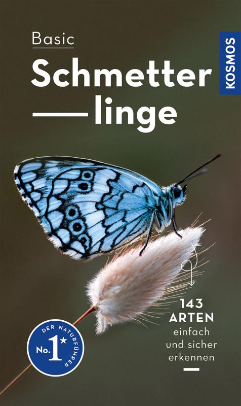 Cover-Bild Basic Schmetterlinge