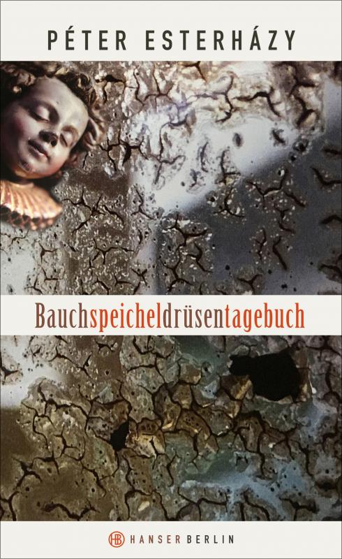 Cover-Bild Bauchspeicheldrüsentagebuch