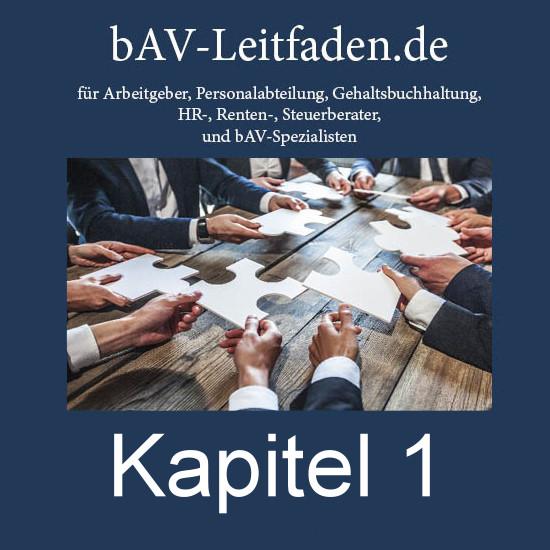 Cover-Bild bAV-leitfaden für Arbeitgeber - Kapitel 1