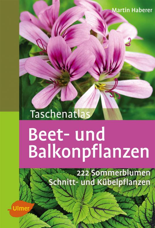 Cover-Bild Beet- und Balkonpflanzen