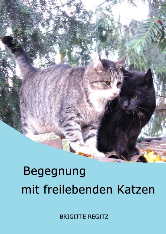 Cover-Bild Begegnung mit freilebenden Katzen