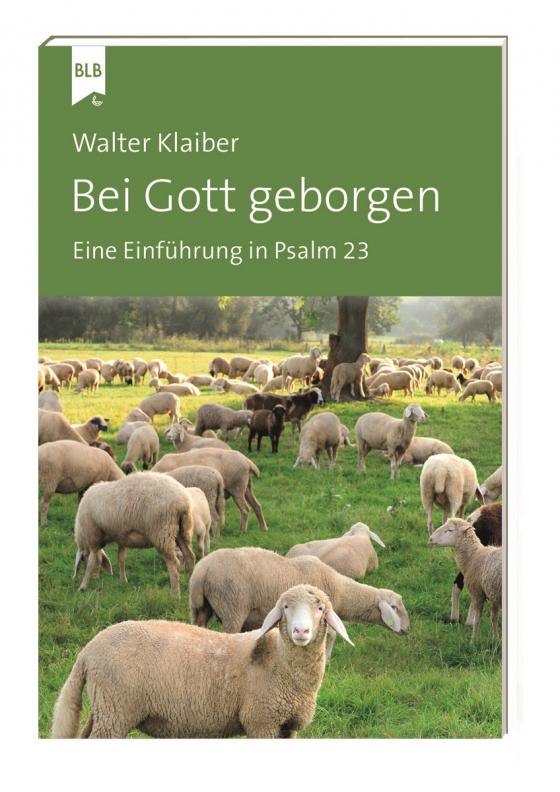 Cover-Bild Bei Gott geborgen