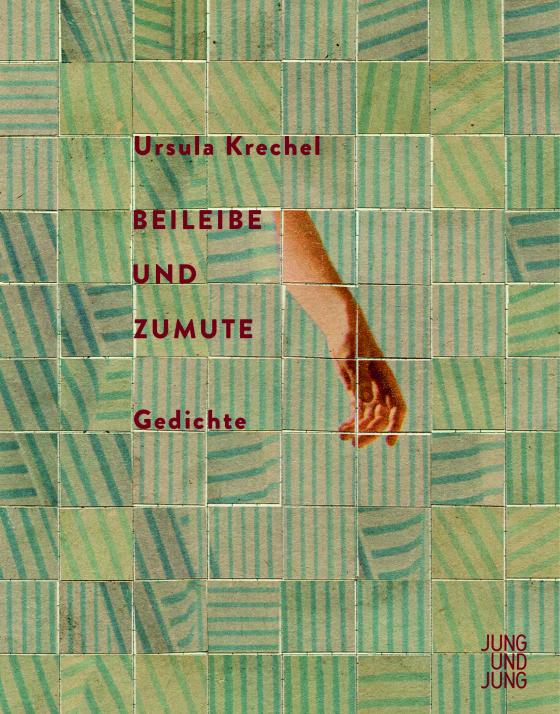 Cover-Bild Beileibe und Zumute