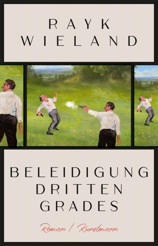 Cover-Bild Beleidigung dritten Grades