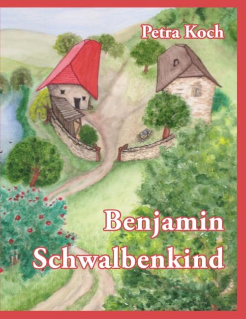 Cover-Bild Benjamin Schwalbenkind
