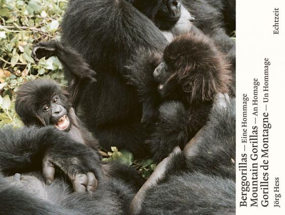 Cover-Bild Berggorillas. Gorilles de montagne. Mountain Gorillas