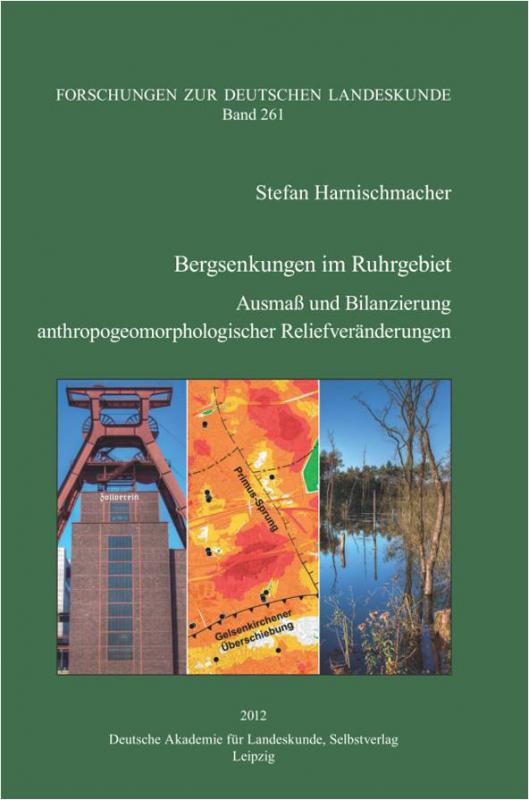 Cover-Bild Bergsenkungen im Ruhrgebiet