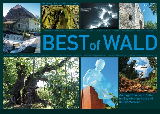 Cover-Bild BEST of WALD