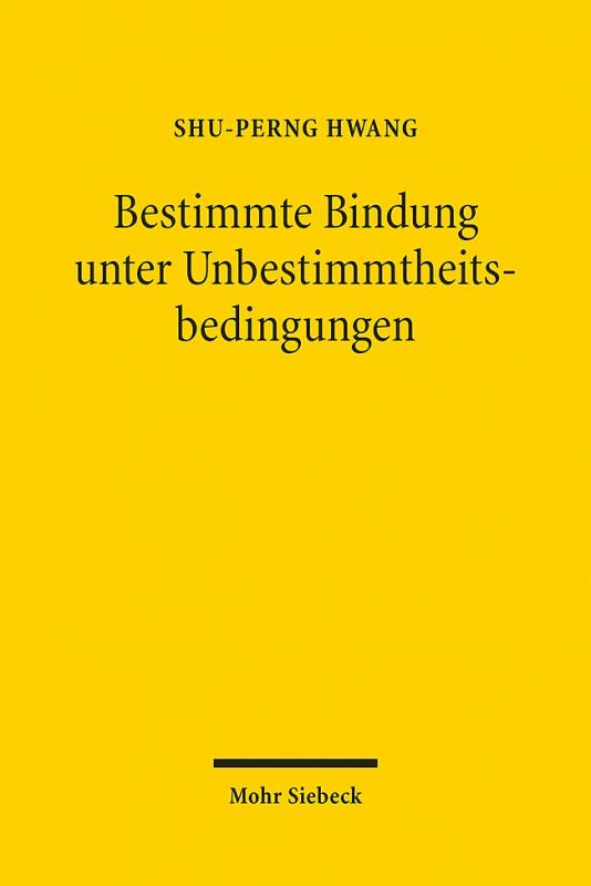 Cover-Bild Bestimmte Bindung unter Unbestimmtheitsbedingungen