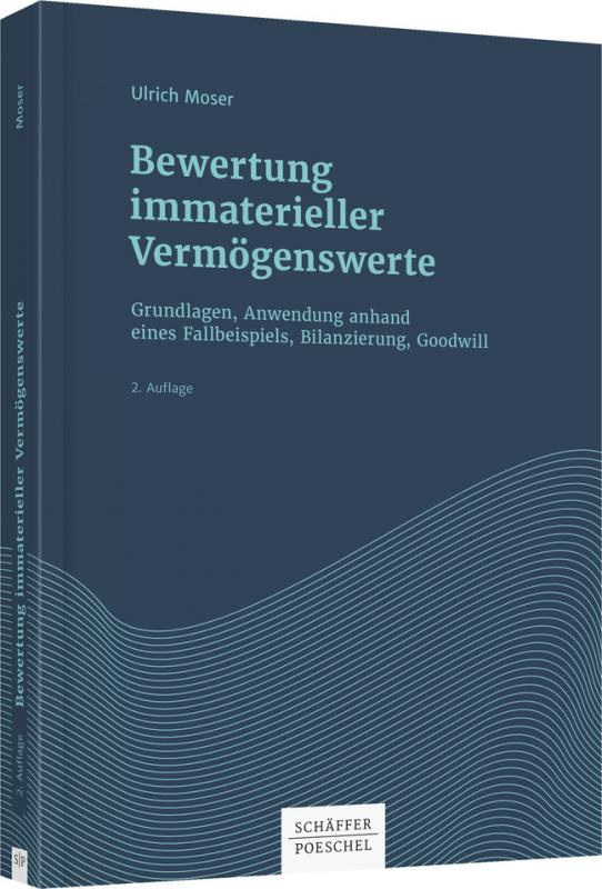 Cover-Bild Bewertung immaterieller Vermögenswerte