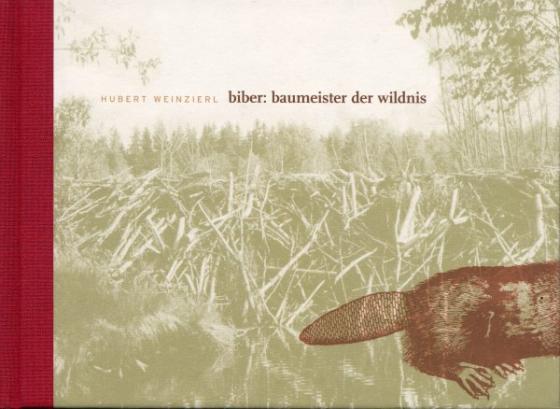 Cover-Bild Biber: Baumeister der Wildnis
