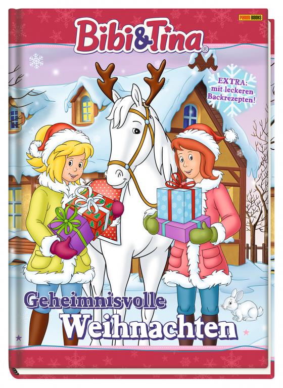 Cover-Bild Bibi & Tina: Geheimnisvolle Weihnachten