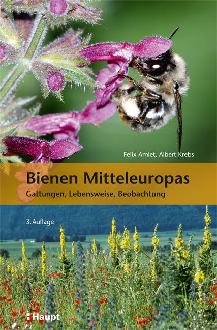 Cover-Bild Bienen Mitteleuropas