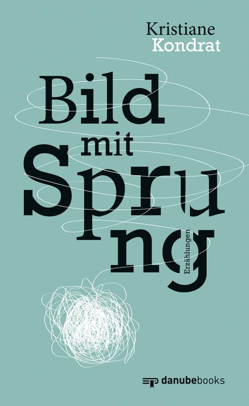 Cover-Bild Bild mit Sprung