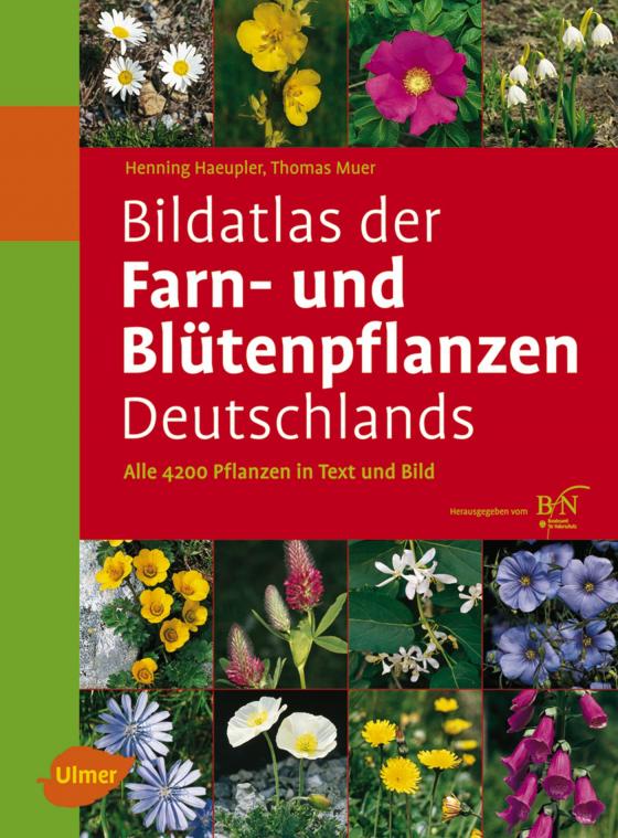 Cover-Bild Bildatlas der Farn- und Blütenpflanzen Deutschlands