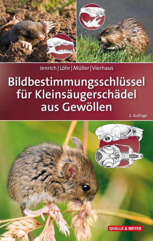 Cover-Bild Bildbestimmungsschlüssel für Kleinsäugerschädel aus Gewöllen