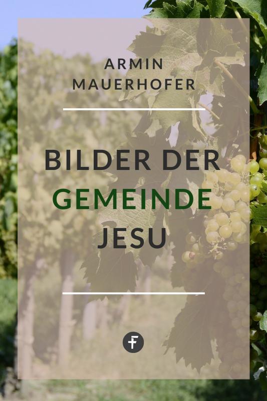 Cover-Bild Bilder der Gemeinde Jesu