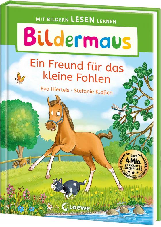 Cover-Bild Bildermaus - Ein Freund für das kleine Fohlen