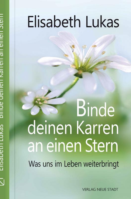 Cover-Bild Binde deinen Karren an einen Stern