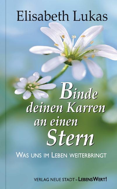 Cover-Bild Binde deinen Karren an einen Stern