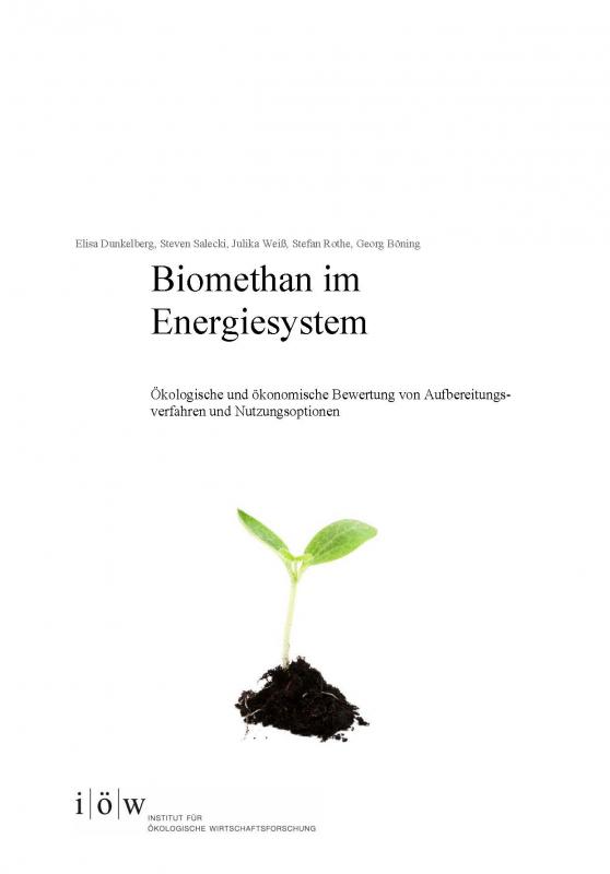 Cover-Bild Biomethan im Energiesystem.