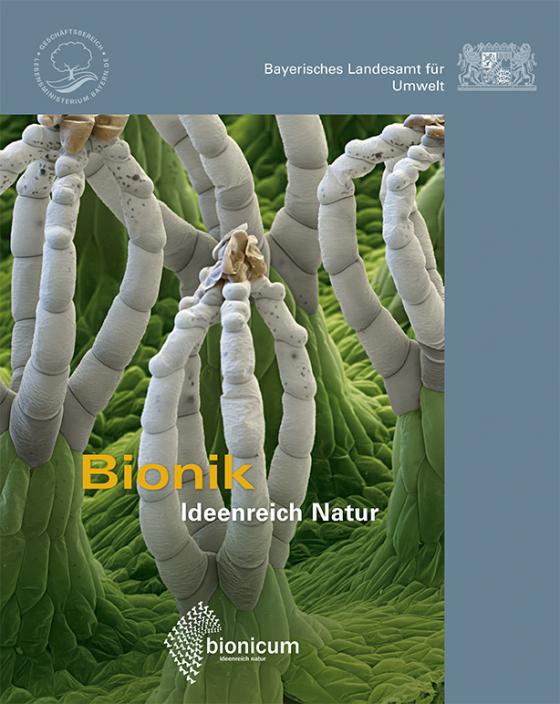 Cover-Bild Bionik - Ideenreich Natur