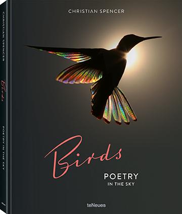 Cover-Bild Birds