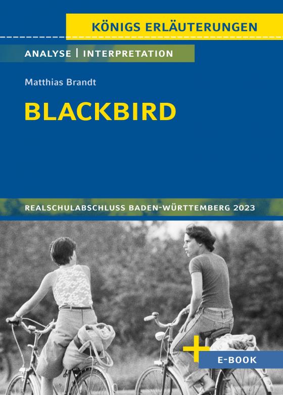 Cover-Bild Blackbird von Matthias Brandt - Textanalyse und Interpretation